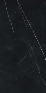 Forte Dei Marmi Elegant Black Rett 60x120 Cerato