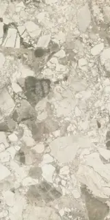 Forte Dei Marmi Ceppo Apuano Cream Rett 80x160