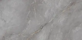 Orobico Grey Polished 60x120