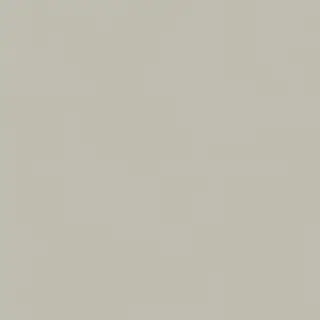 Forum Slim Silver 80x80