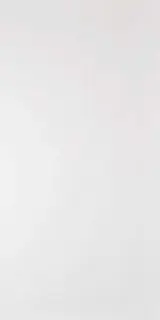 Керамогранит Domino G-100MR белый матовый  l60x120