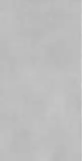 Concrete Expose Grey 8145 60x120