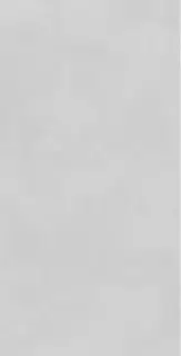 Concrete Expose Light Grey 8144 60x120