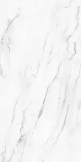 VICTORIA POLISHED 120x240