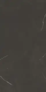 PIETRA BLACK COLOR BODY POLISHED 120x300