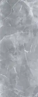 MAXIM LIGHT GRAY Random 120x300