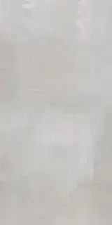 65800 Tatto Light Grey 120x300