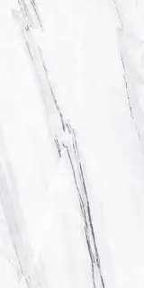 63600 Ariston 80x160