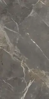 AE COL6 12 LPM 60x120 Серо-бежевый