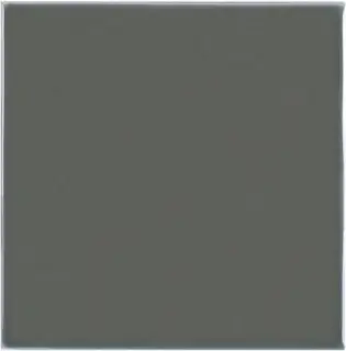 Liso Eucalyptus 14,8X14,8