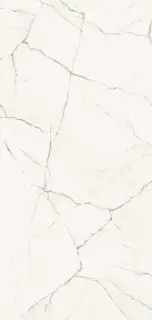 STA VP6 278 LP 120x278