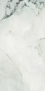 AE CAM6 12 LP 60x120