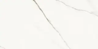 AE EXT6 12 LP 60x120