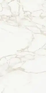 Marmo Calacatta Polished 9128 60x120