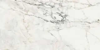 AE PAO6 12 LP 60х120