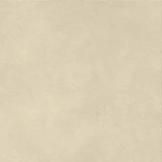 Boost Natural Pro Oat 60x60 - 20mm