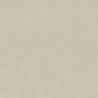 Boost Natural Pro Cinder 60x60