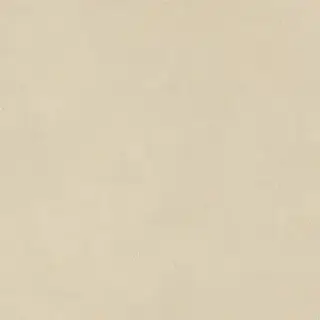 Boost Natural Pro Oat 80x80