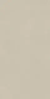 Boost Natural Pro Cinder 60x120