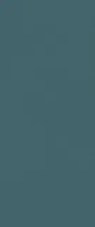 Boost Color Navy Frog 50x120