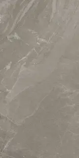 WOODSLATE LIFE STOR GRIP R11 60X120 RT