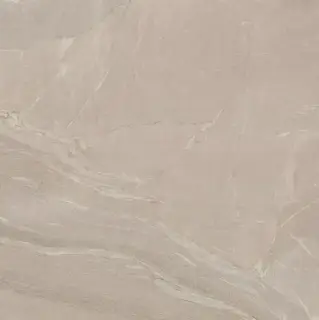 WOODSLATE LIFE DOVE MATT 6MM 120X120R