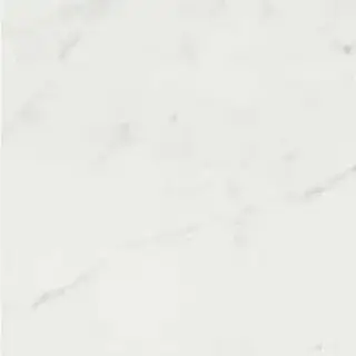 TIMELESS CALACATTA NAT 60X60 RET (746853) Керамогранит