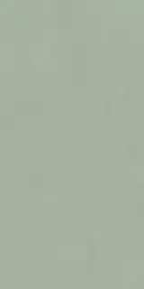 POLICROMA LICHENE MAT 6MM 60x120 RET