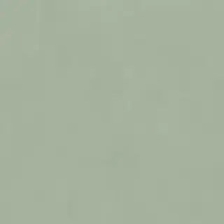 POLICROMA LICHENE MAT 6MM 120X120 RET