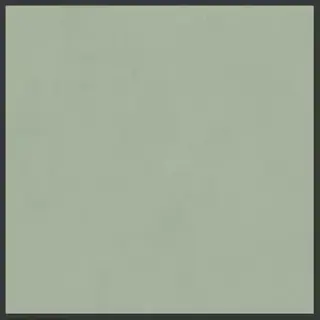 POLICROMA CORN LICHENE MAT 6MM 120X120 R