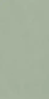 POLICROMA LICHENE MAT 6MM 120X240 RET