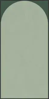 POLICROMA ARCO LICH-CON MAT 6MM 120X240R