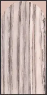 POLICROMA ARCO VALT-CIP MAT 6MM 120X240R