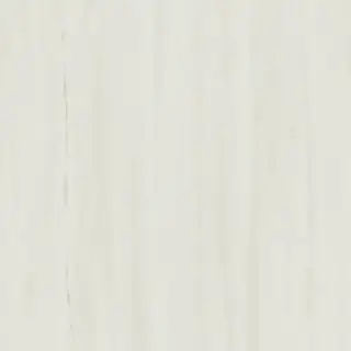 Marvel Bianco Dolomite 60x60 Lappato