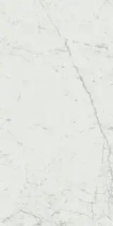 Marvel Carrara Pure 60x120