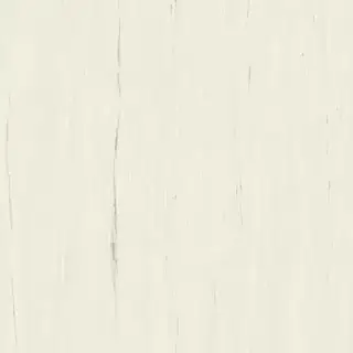 Marvel Bianco Dolomite 120x120