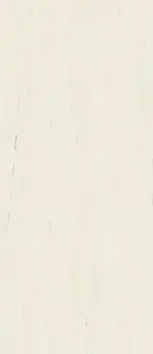 Marvel Bianco Dolomite 120x278 Lappato