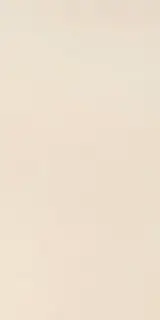 Elements Design IVORY 30X60 RT