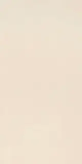 Elements Design IVORY 60X120 R9 RT