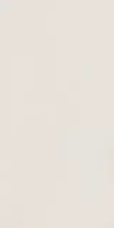 Elements Design WHITE 60X120 R10 RT