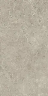 Nyra Mist 60x120 - 20mm