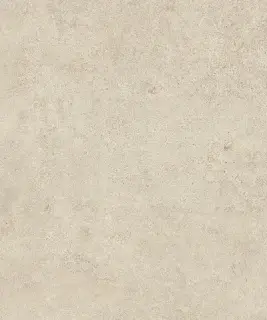 Boost Vision Camel 60x60