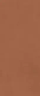 Prism Caramel 50x120