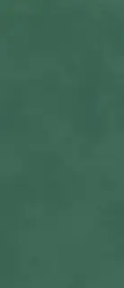 Prism Emerald 120x278