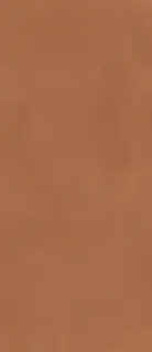 Prism Caramel 120x278