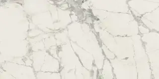 PREXIOUS REX MOUNTAIN TREASURE GLO30X60 R