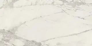 PREXIOUS REX MOUNTAIN TREASURE MAT30X60 R