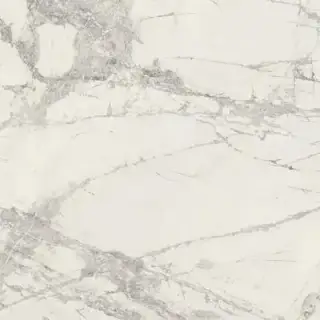 PREXIOUS REX MOUNTAIN TREASURE MAT 60X60 R