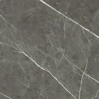 PREXIOUS REX CHARMING AMBER MAT 60X60 R