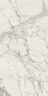 PREXIOUS REX MOUNTAIN TREASURE GLOSSY 60X120R